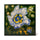 ARTEMIS HIBISCUS Printed Tiles - Verde