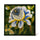 ARTEMIS ROSE Printed Tiles - Verde