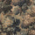 NEMOR Runner - Bronze