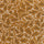 QUERCUS Runner - Amber