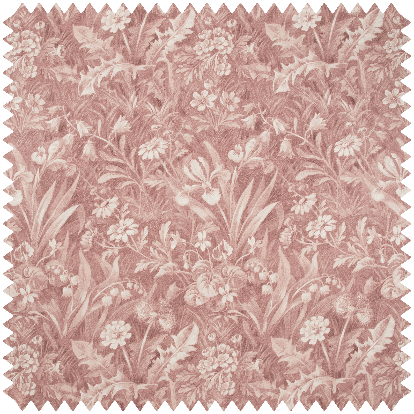 a close-up of a fabric