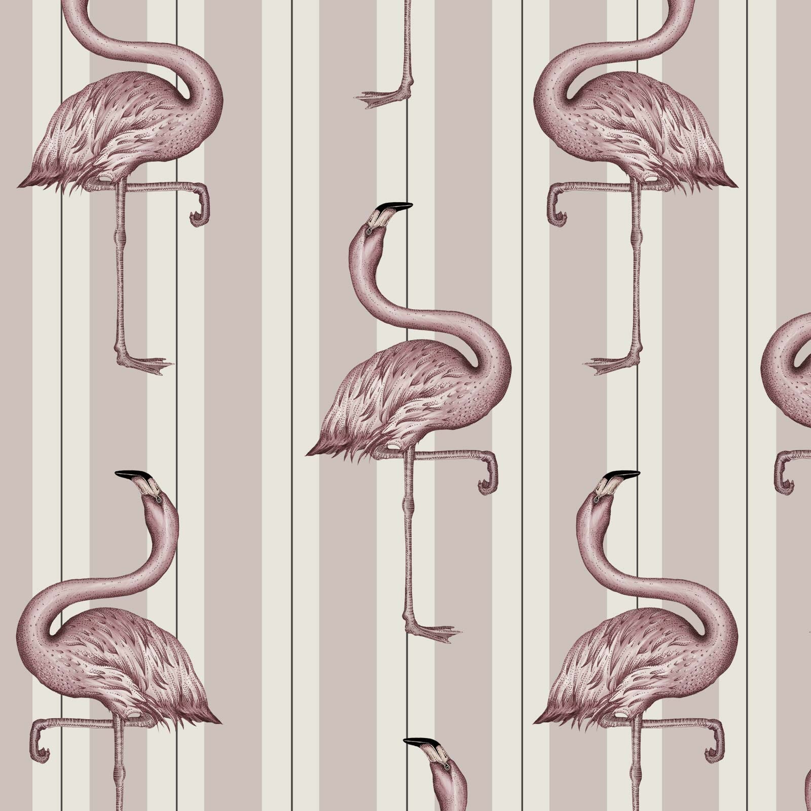 FLAMBOYANCE Wallpaper - Off White & Macaroon Pink
