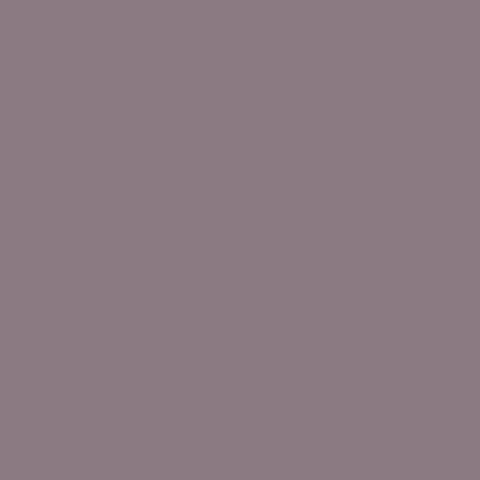 HYDRANGEA Paint Pot 125ml - 10