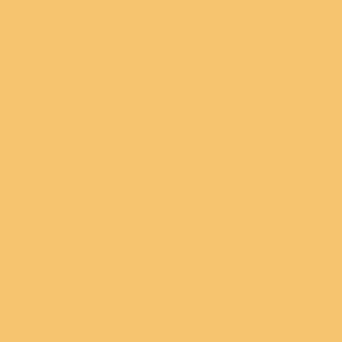 ORPIMENT Paint - 12 Swatch