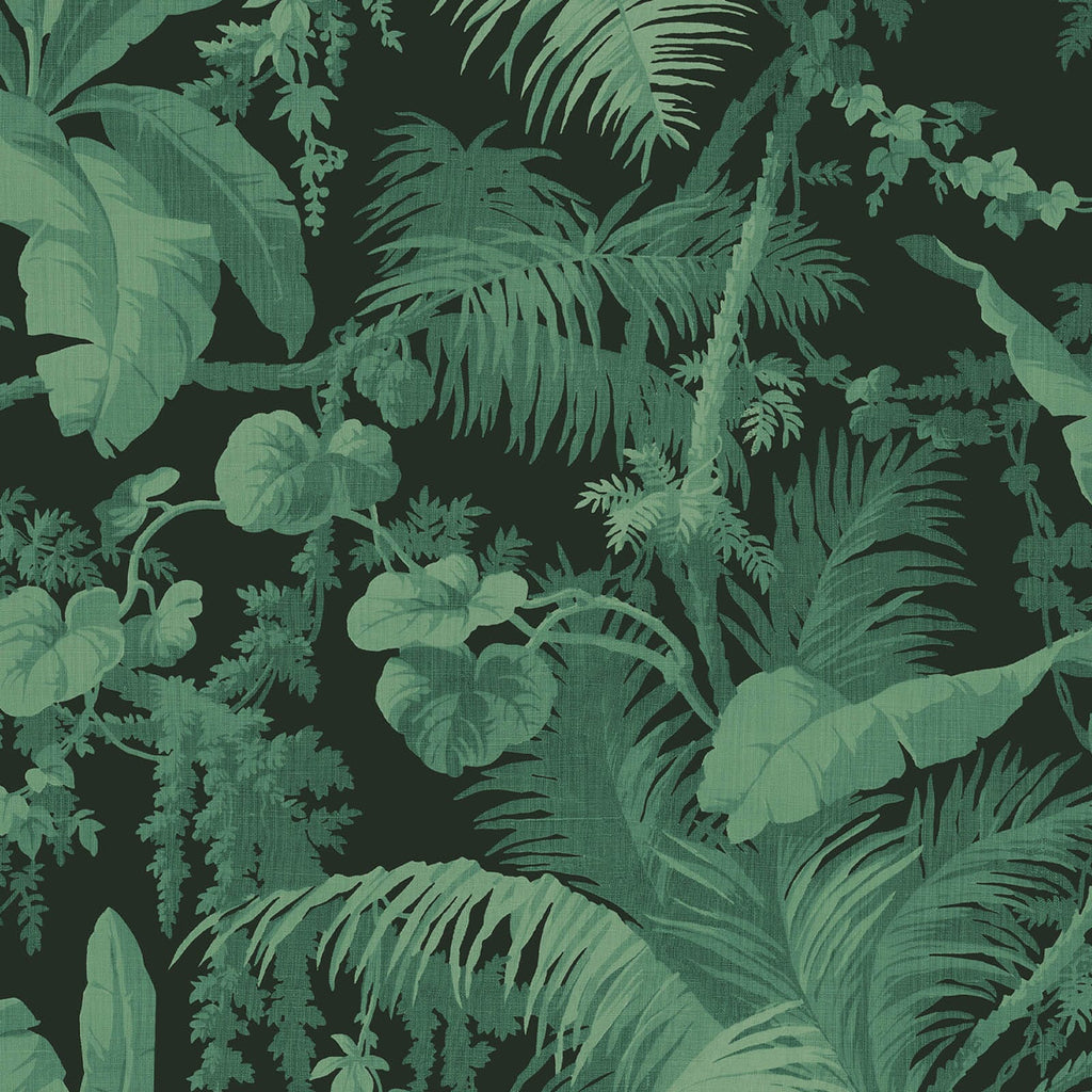 3 metres - full height wallpaper