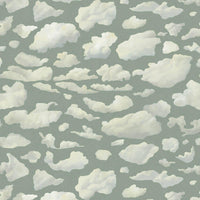 STRATUS Wallpaper - Sage