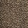 WILD CARD Carpet - Butterscotch